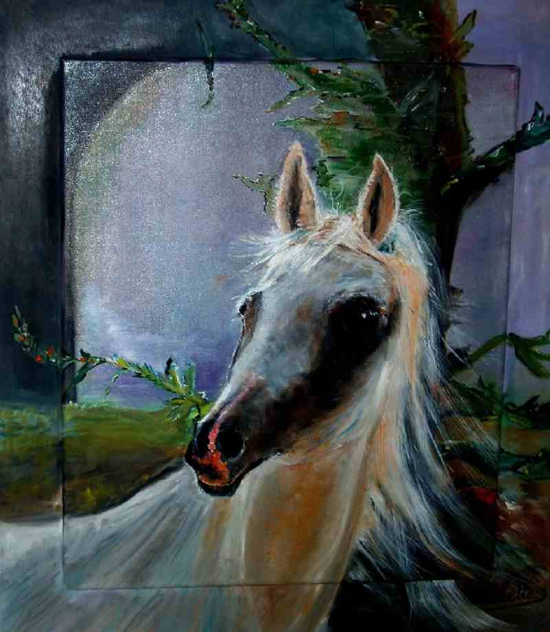 cheval blanc